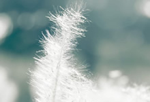 莱切斯特城大胜布莱顿，豪取胜利积极向上