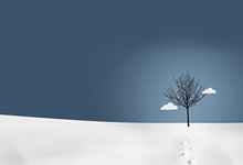 30天踢5场比赛！山东泰山遭遇魔鬼赛程，崔康熙或放弃2场力拼3场，山东泰山比赛结果