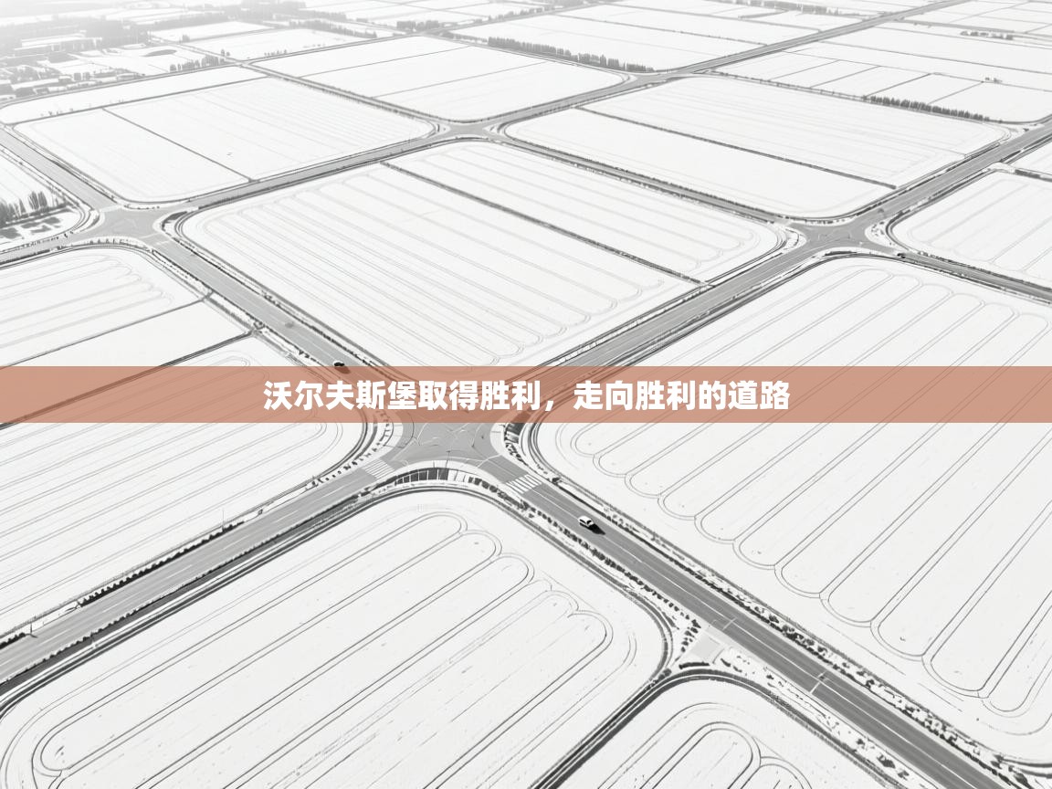 沃尔夫斯堡取得胜利，走向胜利的道路