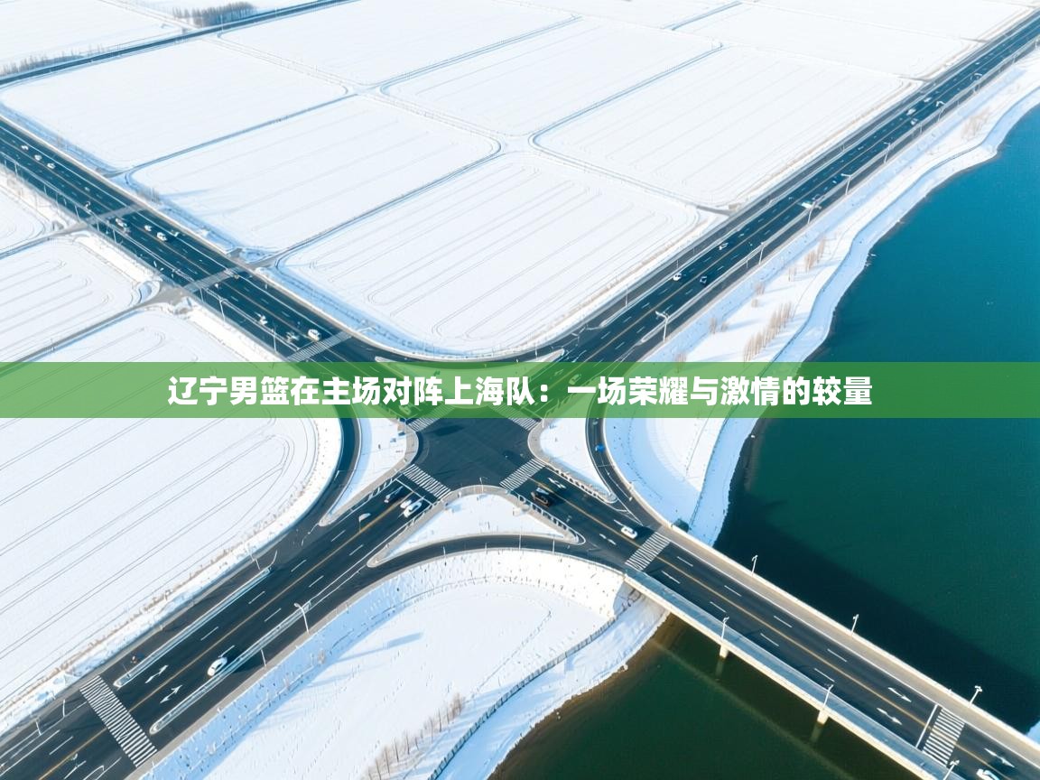 辽宁男篮在主场对阵上海队：一场荣耀与激情的较量